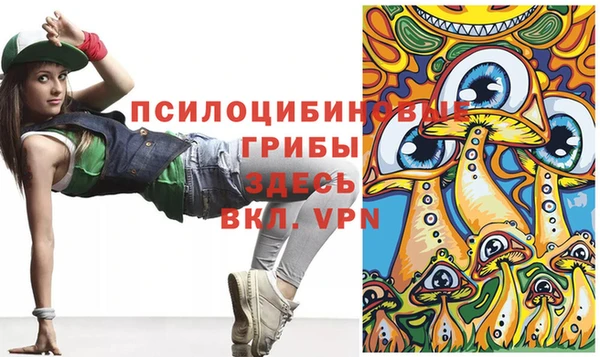 меф Белокуриха