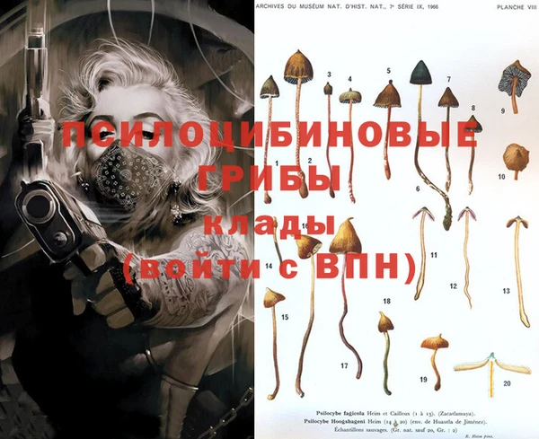 первитин Белоозёрский