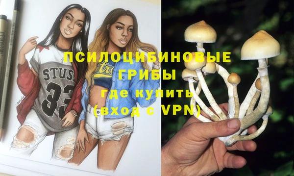 меф Белокуриха